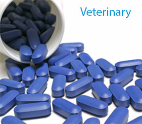 Veterinary